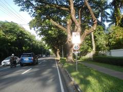 San Antonio Plaza on McKinley Road in Forbes Park, Makati City with modern buildings and trees