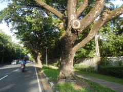 San Antonio Plaza on McKinley Road in Forbes Park, Makati City