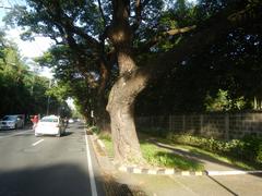San Antonio Plaza on McKinley Road in Forbes Park, Makati City showing multiple cars and lush greenery