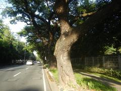 San Antonio Plaza on McKinley Road in Forbes Park, Makati City