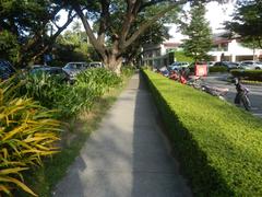 Mckinley Road