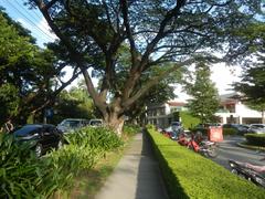 San Antonio Plaza beside Santuario de San Antonio Parish Church in Forbes Park, Makati City under the Roman Catholic Archdiocese of Manila