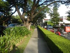 San Antonio Plaza with Santuario de San Antonio Parish Church and surrounding chapels in Forbes Park Makati City
