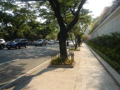 Paseo De Roxas