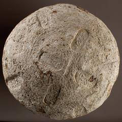 Sealed jar from the tomb of Yuya and Tjuyu, ancient Egyptian artifact