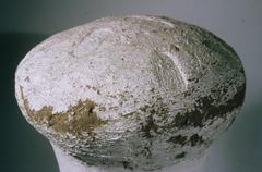 Sealed ancient jar from the tomb of Yuya and Tjuyu