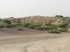Western mound or Citadel in the ruins of Kalibanga