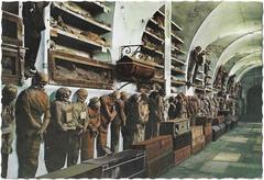 Corridor of men in the Capuchin Catacombs, Palermo, featuring mummified bodies displayed along the walls