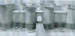 Castra Divitia