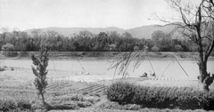 Katsura River and forest near Katsura Imperial Villa around 1952 in Japan