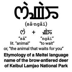 Etymology of Sangai term in Classical Meitei language related to brow antlered deer of Keibul Lamjao National Park