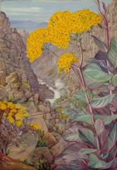 Scenic view of the Valley of Ceres from Mitchell's Pass with a 'Cabbage Plant' in the foreground