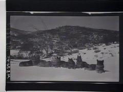 Eskimo dog pulling sleighs on snowy track towards mountain summit