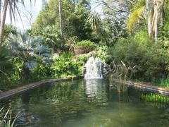 Scenic pool surrounded by greenery in Parc Olbius Riquier, Hyères, France