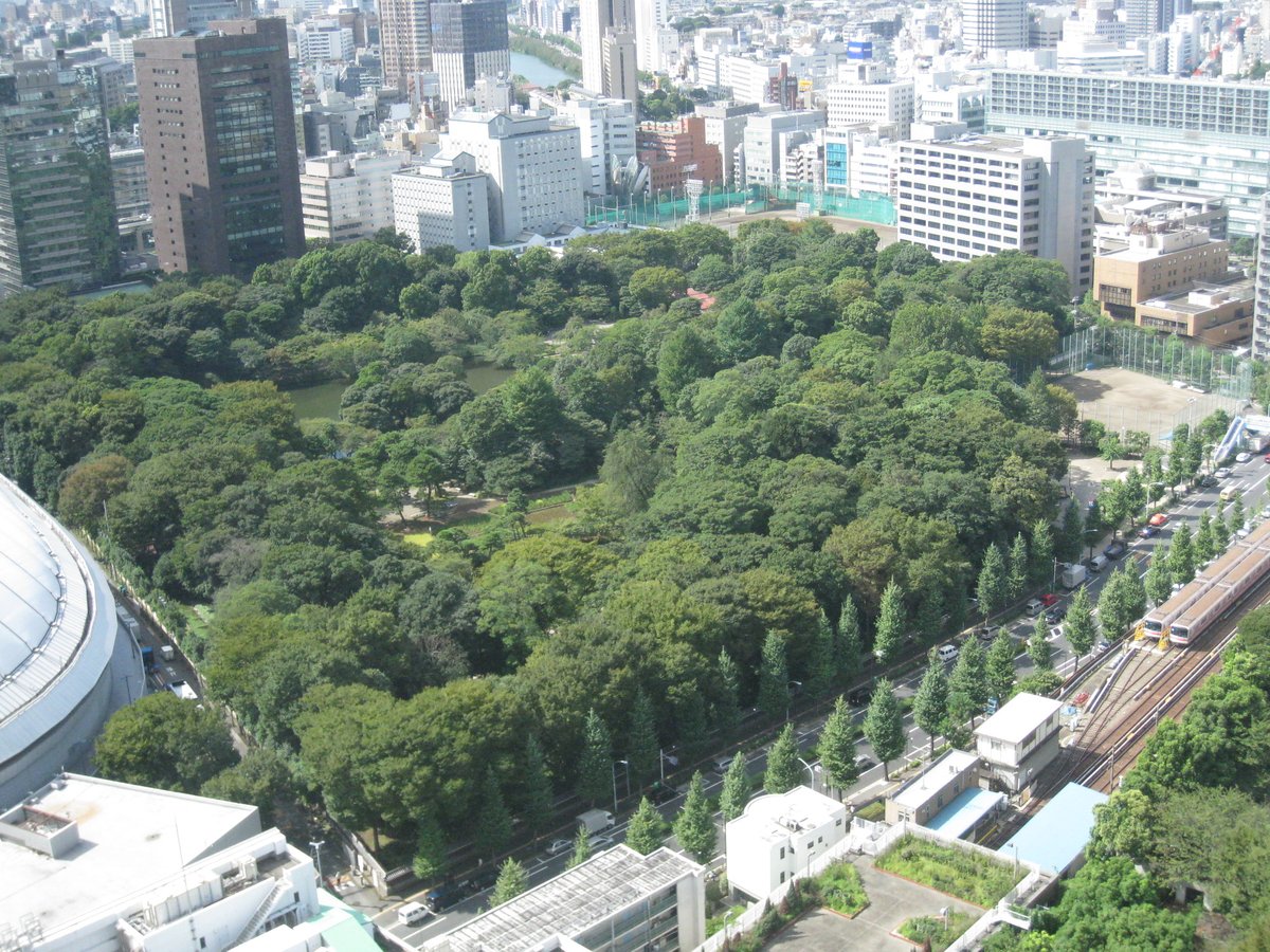 Scenic view of Koishikawa Korakuen garden in Tokyo with lush greenery and traditional structures