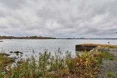 Harbour on Vallisaari island in Helsinki with boats and lush greenery