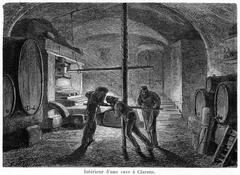 Interior of a cellar in Clarens by Gustave Roux