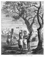 Harvesters going to the vineyard