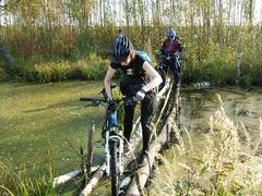 Cyclists riding bicycles through swampy terrain in Losiny Ostrov National Park, Moscow, Russia