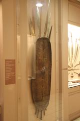African Buffalo Skin Shield displayed at Athens War Museum