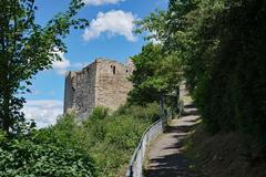 Ruins of Löffelstelz Castle in Mühlacker-Dürrmenz surrounded by trees