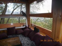 Cat Cafe house on Kok-Tobe mountain overlooking Almaty city and surrounding mountains
