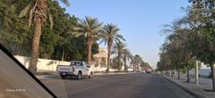 Wide street lined with trees and a grand monument in the distance