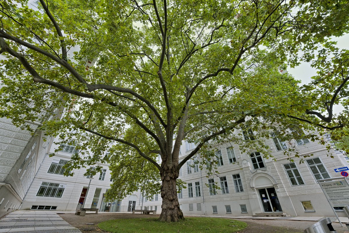 Akademie für Fortbildungen und Sonderausbildungen building at Allgemeines Krankenhaus Wien