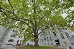 Akademie für Fortbildungen und Sonderausbildungen building at Allgemeines Krankenhaus Wien