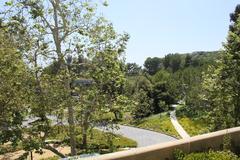 Exterior view of Getty Villa Museum in Los Angeles showcasing Roman, Greek, and Etruscan antiquities