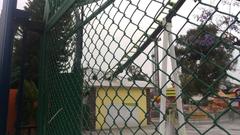 Abandoned Cascabel roller coaster at Feria de Chapultepec amusement park