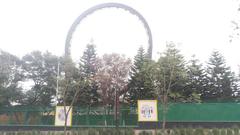 Roller coaster Cascabel at the defunct Feria de Chapultepec amusement park