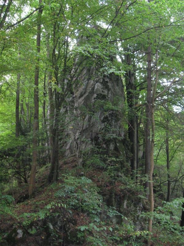 View of Křtinské údolí valley with the rock formation called Zub času under clear blue sky