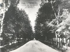 Alley leading to Armand factory in Pushkino village