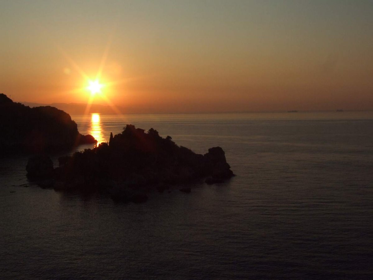 Colorful autumn leaves on the ground in a forest
