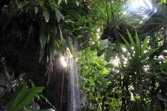 Light shining on waterfalls at St. Louis Botanical Gardens with the Arch visible