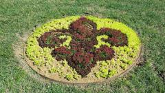 Fleur-de-lis design made from tiny succulents in the Pincushion Garden at Missouri Botanical Garden