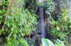 Waterfall inside Climatron dome at St. Louis Botanical Gardens