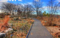 Walking path in St. Louis Botanical Gardens with view of The Arch in the distance