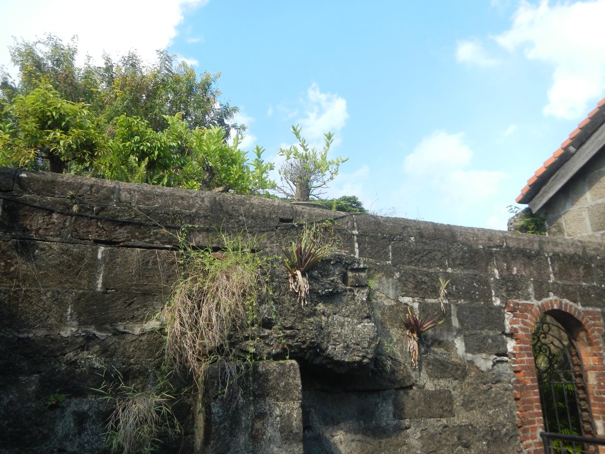 Historic Baluarte de San Diego Gardens with Coral Tree Erythrina crista-galli in Intramuros Manila