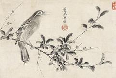 Illustration of a Garrulax canorus from The Sketching of Rare Birds by Emperor Huizong of Song