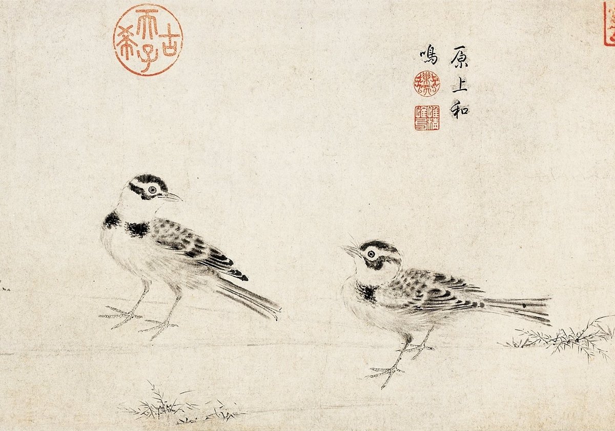 Segment from The Sketching of Rare Birds by Zhao Ji (Emperor Huizong of Song) featuring detailed bird illustrations