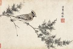 Illustration of a Bombycilla garrulus bird from The Sketching of Rare Birds by Emperor Huizong of Song