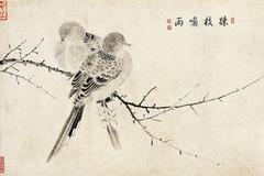 Sketch of Spilopelia chinensis from The Sketching of Rare Birds by Zhao Ji (Emperor Huizong of Song)