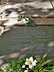 Memorial tablet commemorating Kastus Kalinouski and Zygmunt Sierakowski execution in Lukiškės Square Vilnius