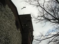 Historic Krakow cityscape with traditional architecture and greenery in April 2007