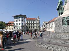 Panoramic view of Ljubljana estate with green landscapes and buildings