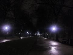 Dark alley in Warandepark, Brussels with trees and street lamps