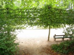 Brussels Park with lush green trees and walking paths in Brussels, Belgium