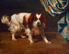 Portrait of a King Charles Spaniel dog by Gysbrecht van der Kuyl
